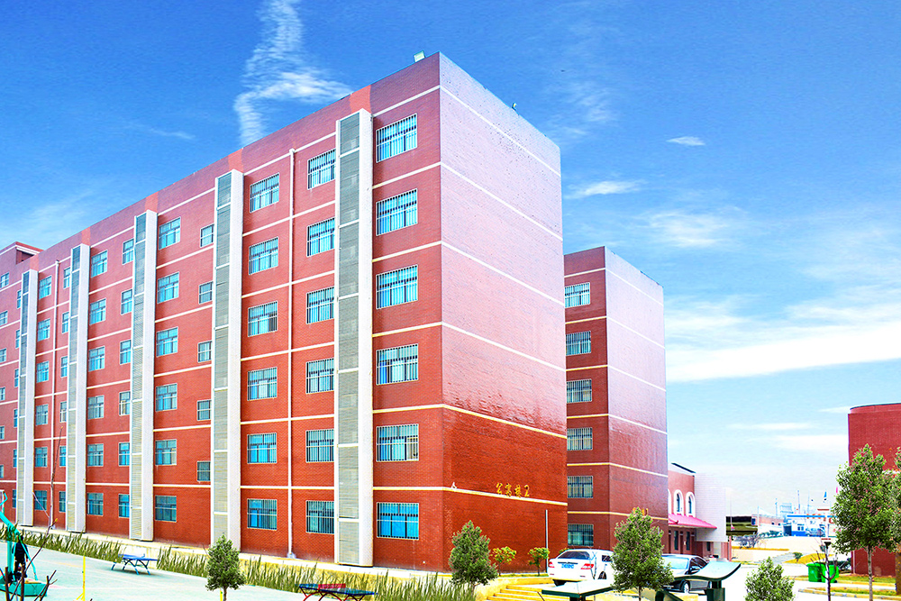 ��ͨУ԰����ǿ��ֳɳ�