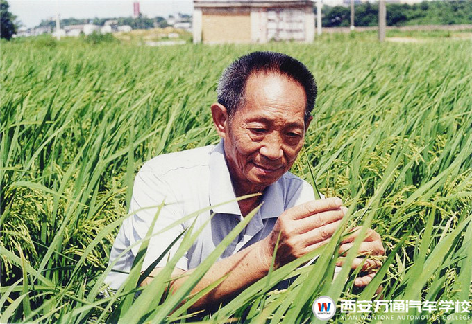 【职素教育】西安万通国旗下的约定：珍惜粮食，杜绝浪费